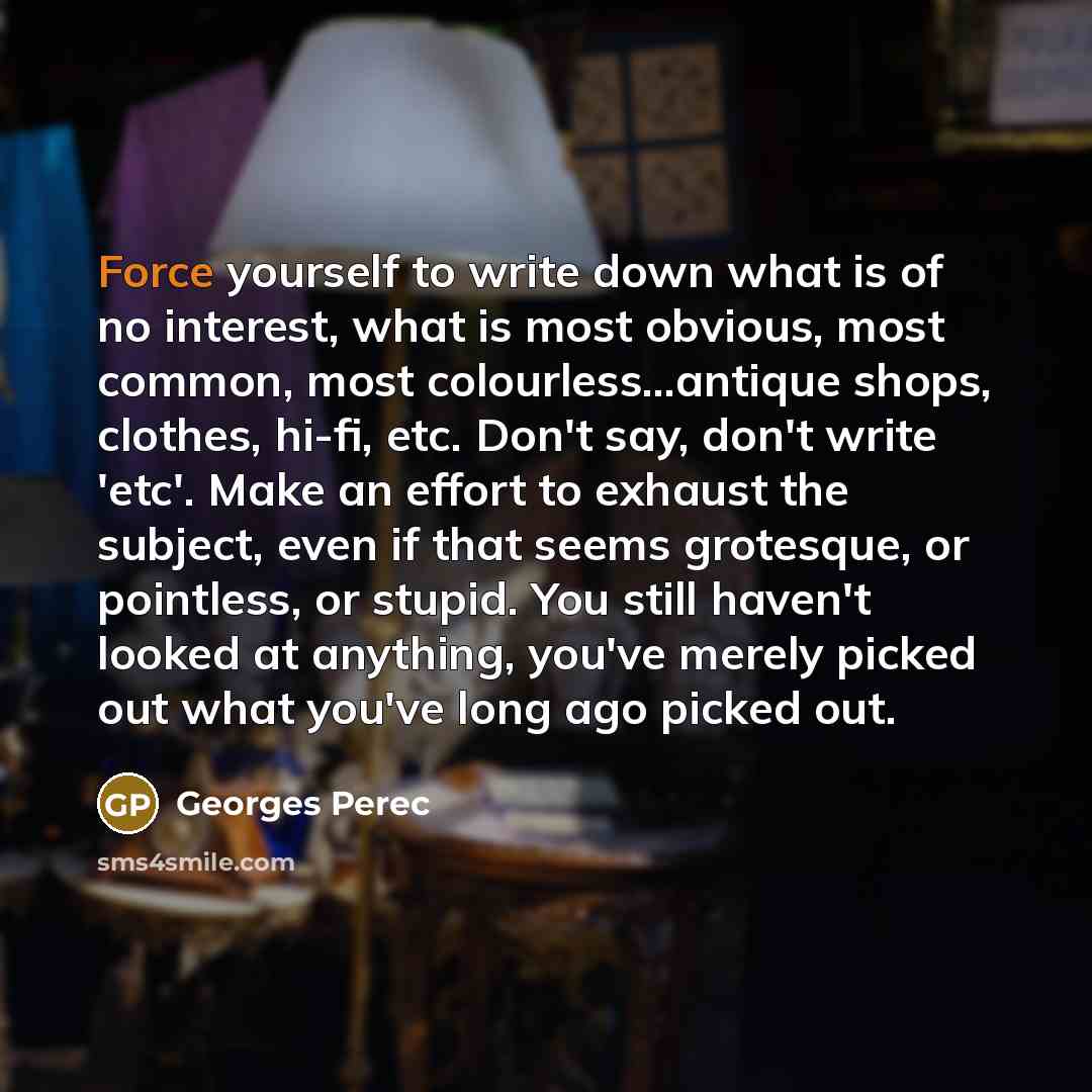 “Force yourself to write down what is of no interest,…” quote by Georges Perec