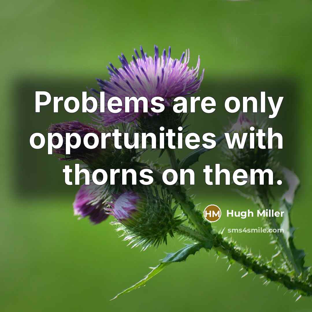 “Problems are only opportunities with thorns on them.” quote by Hugh Miller