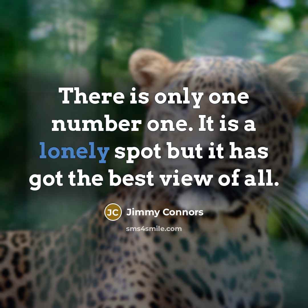 “There is only one number one. It is a lonely…” quote by Jimmy Connors
