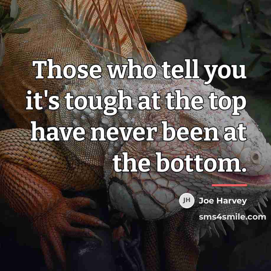 “Those who tell you it's tough at the top have…” quote by Joe Harvey