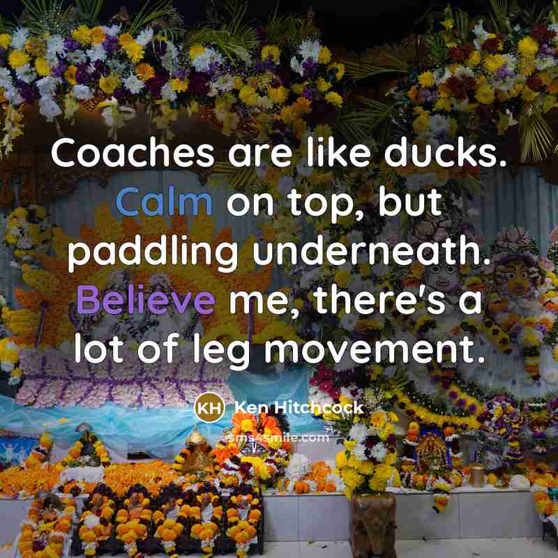 “Coaches are like ducks. Calm on top, but paddling underneath.…” quote by Ken Hitchcock