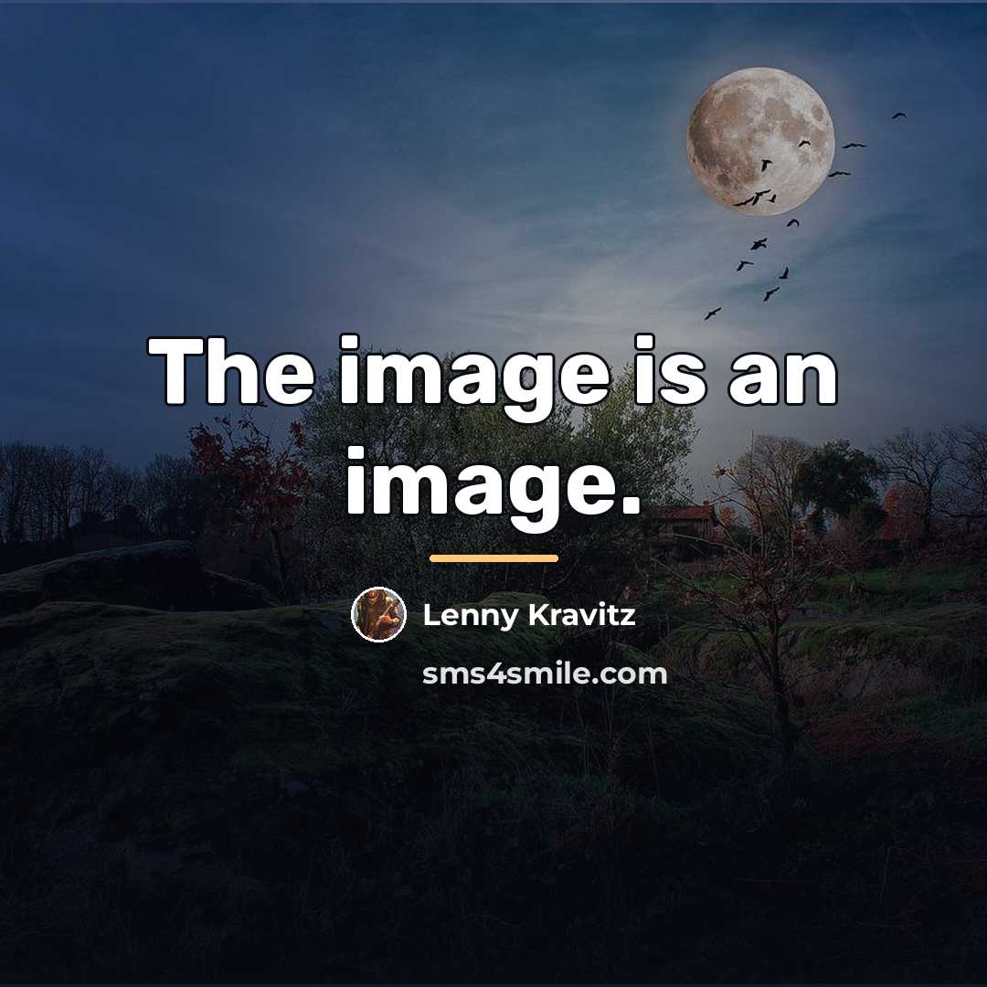 “The image is an image.…” quote by Lenny Kravitz