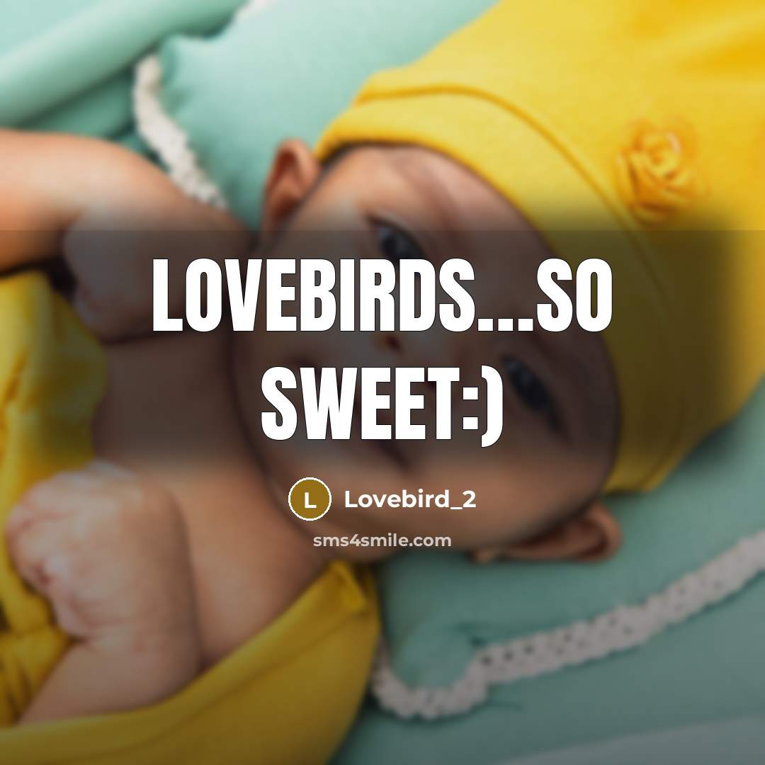 “Lovebirds…so sweet:)” quote by Lovebird_2