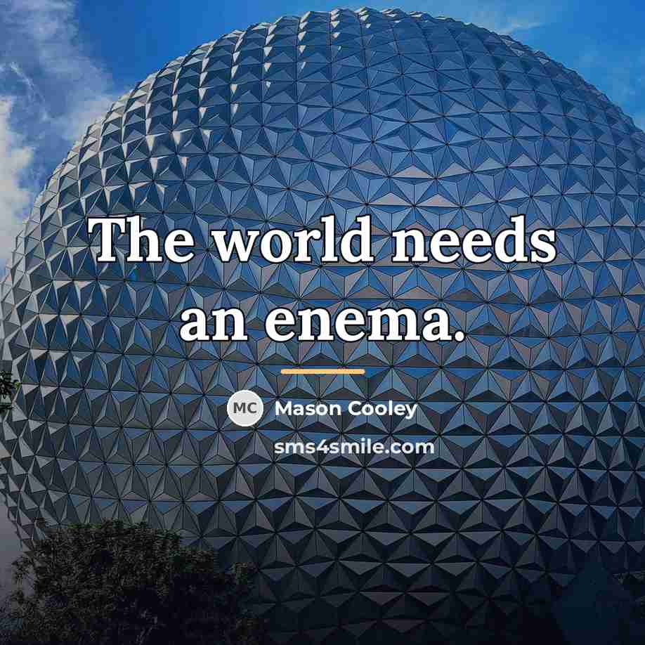 “The world needs an enema.…” quote by Mason Cooley