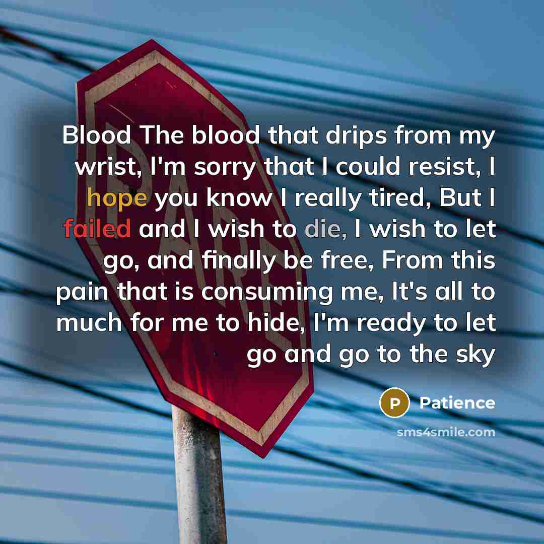 “Blood The blood that drips from my wrist, I'm sorry that I could resist, I hope you know I really tired, But I failed and I wish to die, I wish to let go, and finally be free, From this pain that is consuming me, It's all to much for me to hide, I'm ready to let go and go to the sky” quote by Patience