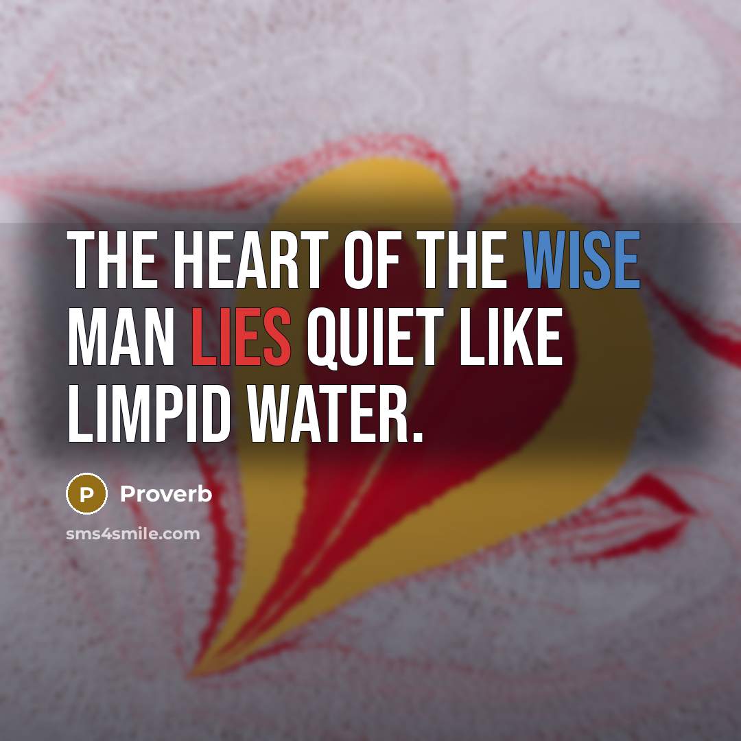 “The heart of the wise man lies quiet like limpid…” quote by Proverb