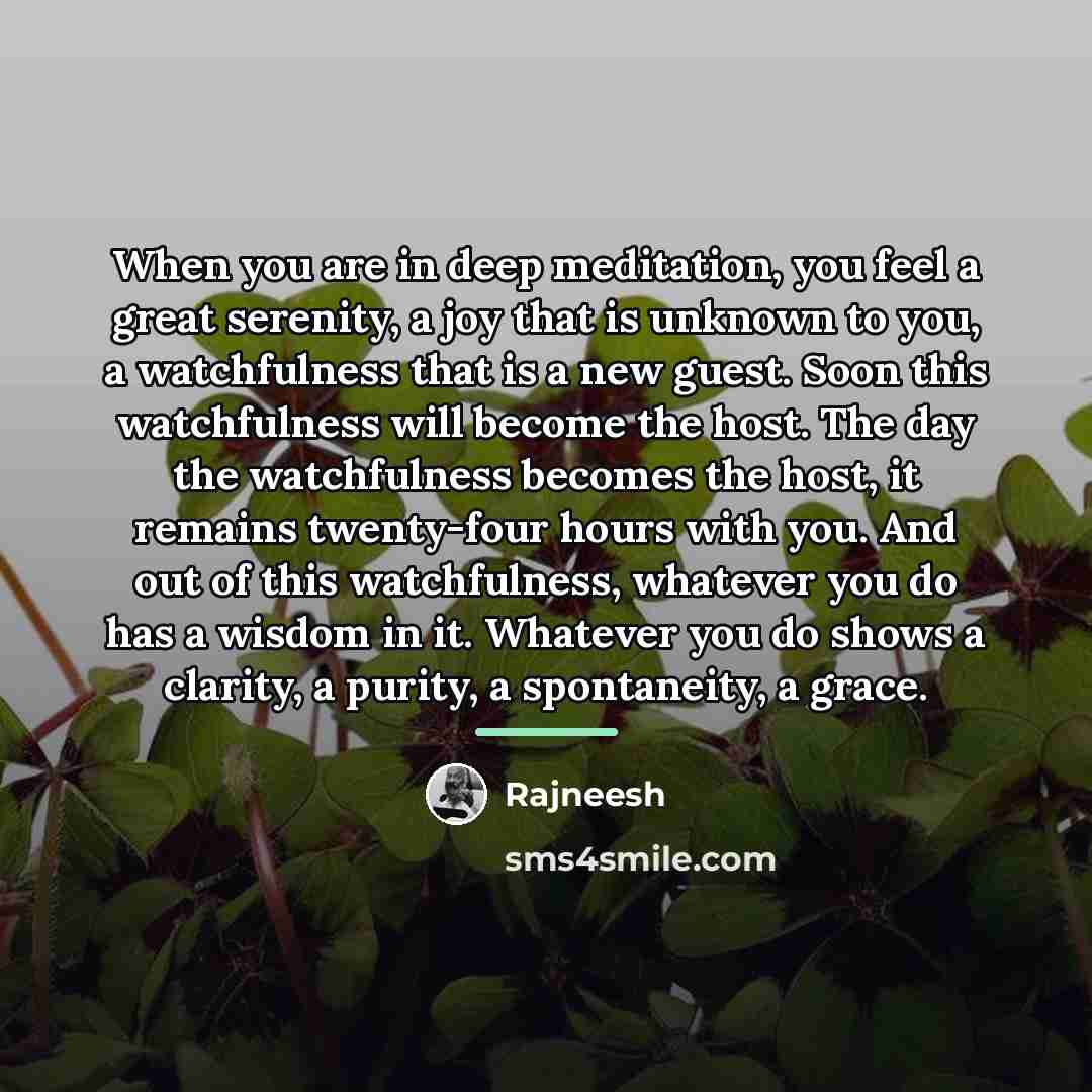 “When you are in deep meditation, you feel a great…” quote by Rajneesh
