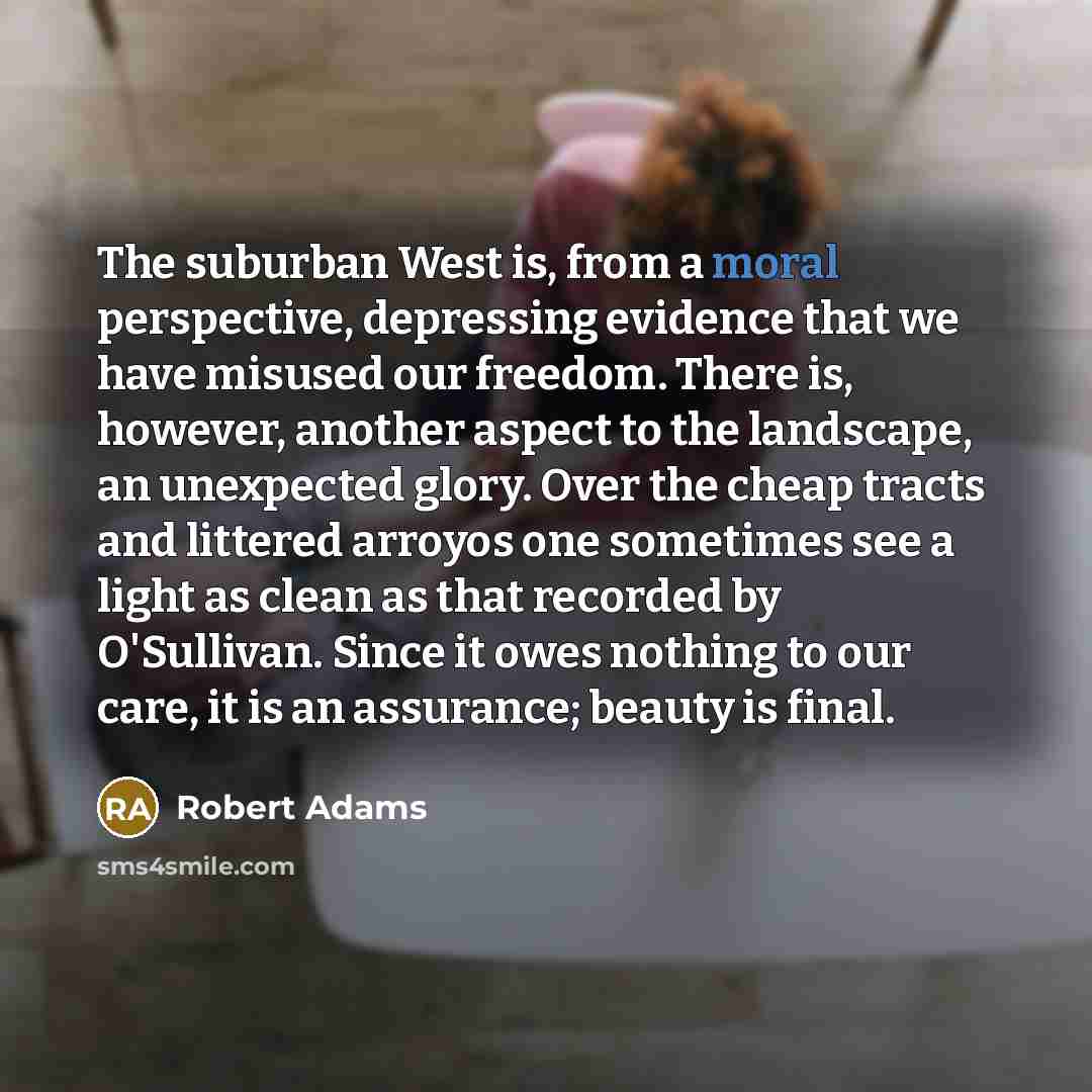 “The suburban West is, from a moral perspective, depressing evidence…” quote by Robert Adams