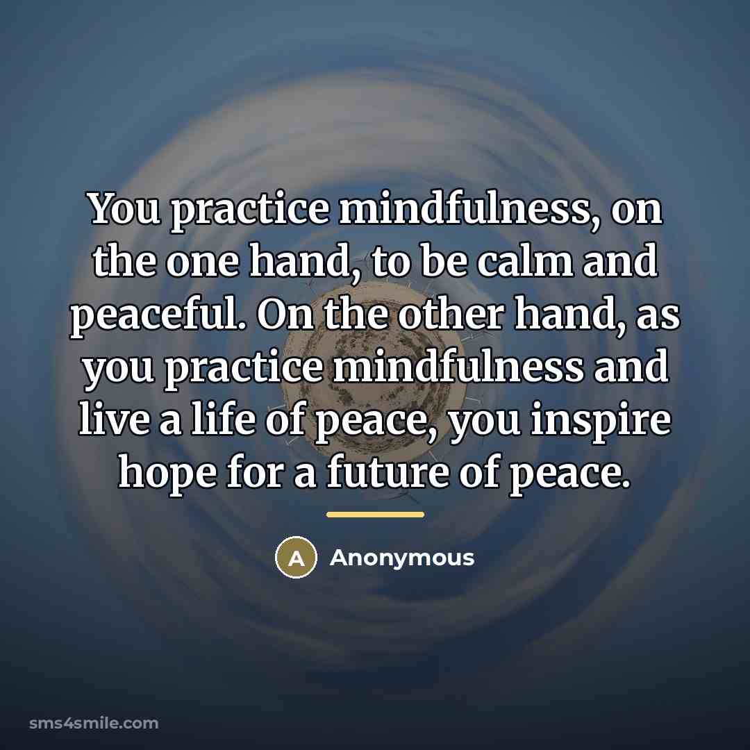 “You practice mindfulness, on the one hand, to be calm…” quote by Anonymous