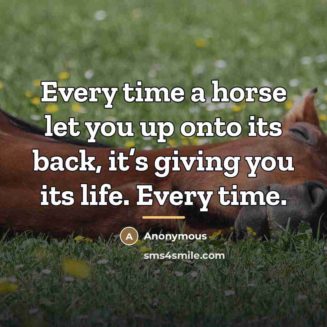 “Every time a horse let you up onto its back,…” quote by Anonymous