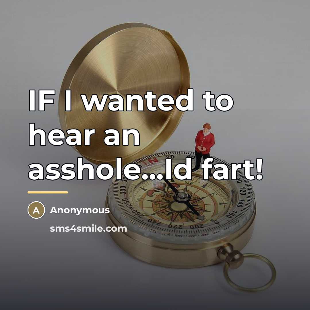 “IF I wanted to hear an asshole...Id fart!…” quote by Anonymous