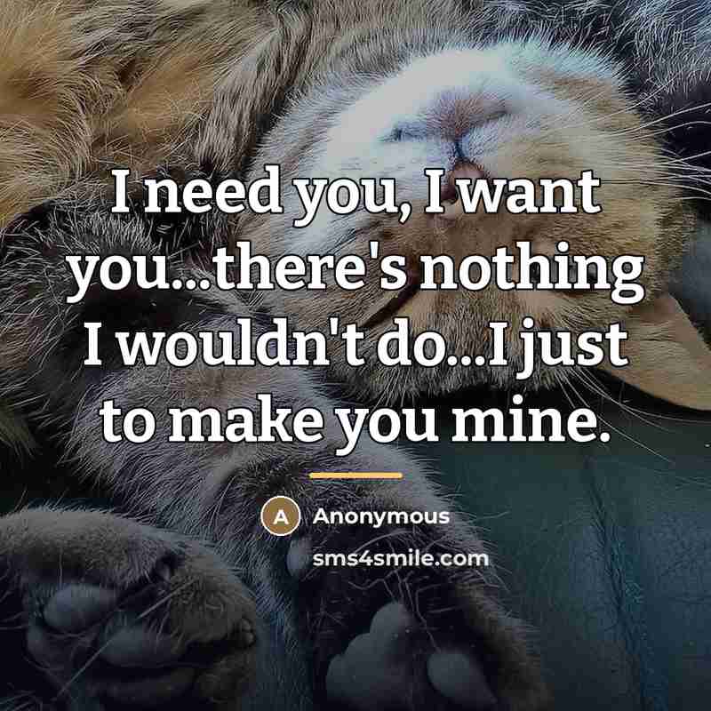 “I need you, I want you...there's nothing I wouldn't do...I just to make you mine.” quote by Anonymous