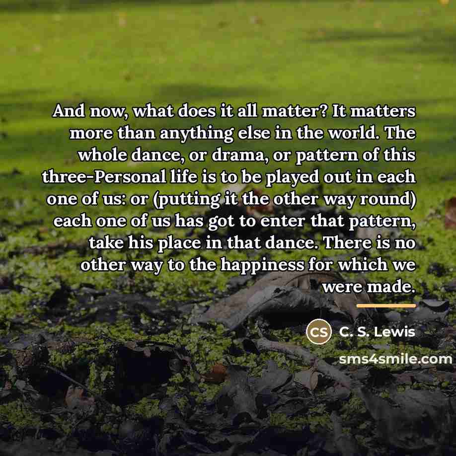 “And now, what does it all matter? It matters more…” quote by C. S. Lewis