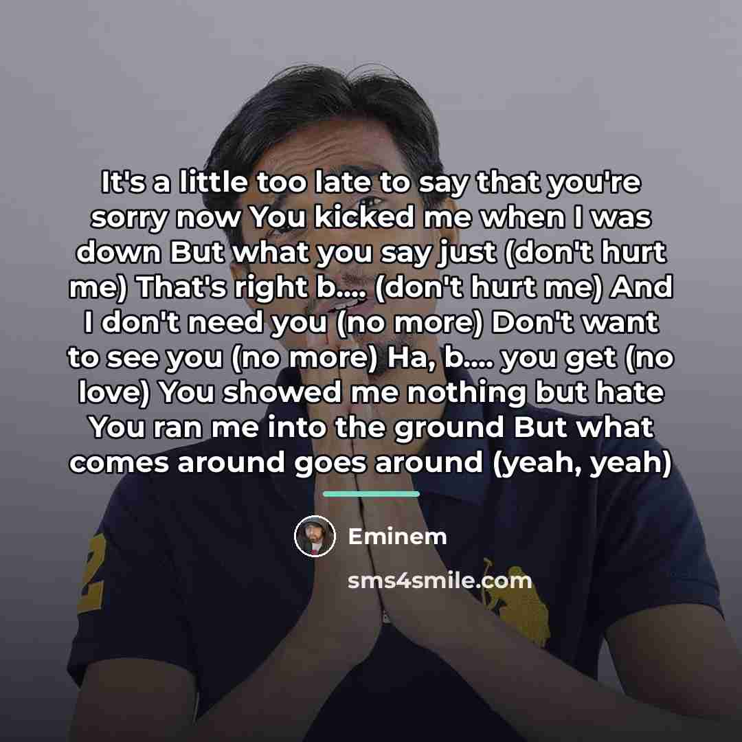 “It's a little too late to say that you're sorry…” quote by Eminem