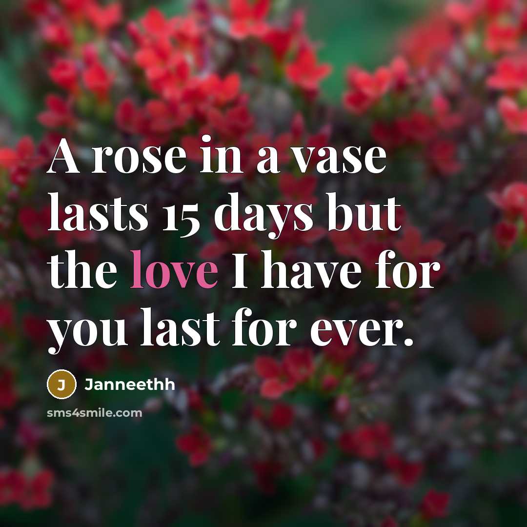 “A rose in a vase lasts 15 days but the…” quote by Janneethh
