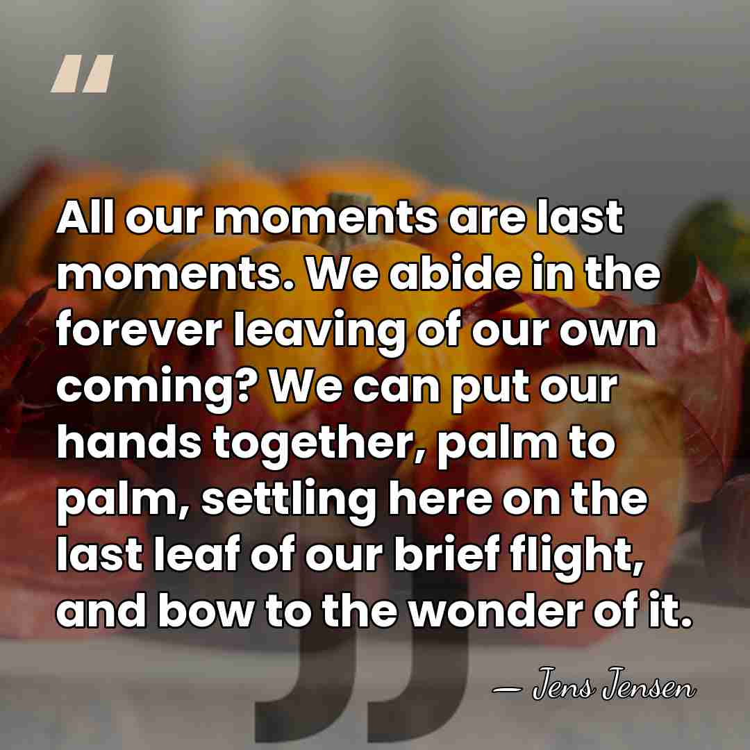 All our moments are last moments. We abide in the forever leaving&hellip; - Jens Jensen