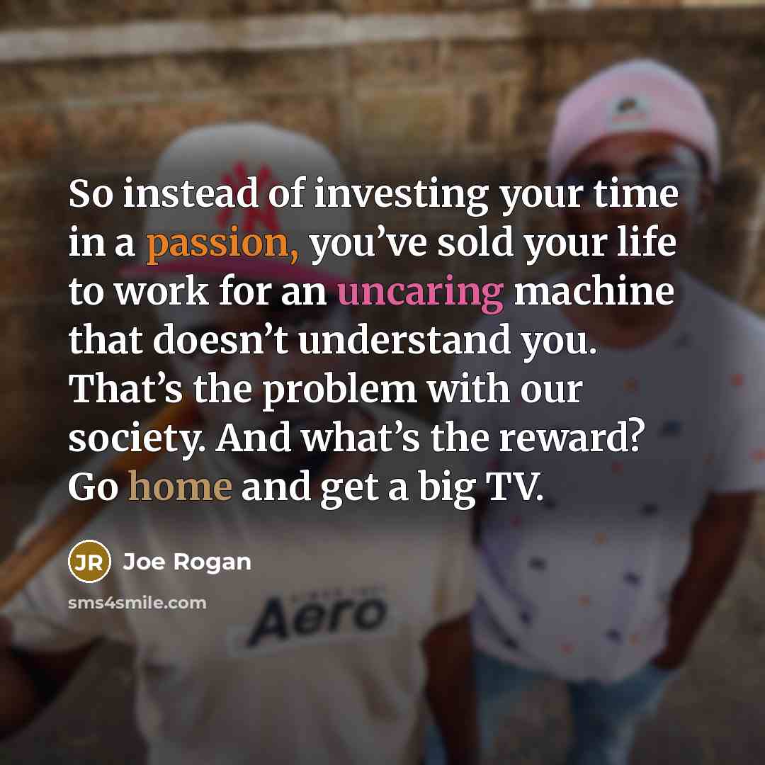 “So instead of investing your time in a passion, you’ve…” quote by Joe Rogan