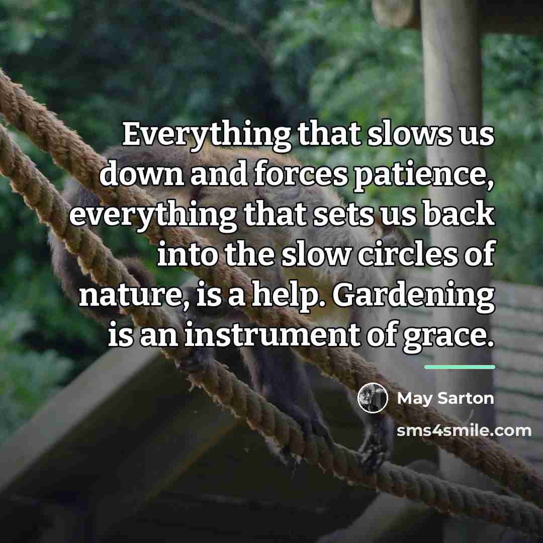 “Everything that slows us down and forces patience, everything that…” quote by May Sarton