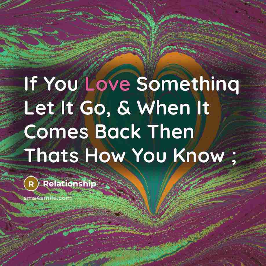 “If You Love Somethinq Let It Go, & When It…” quote by Relationship