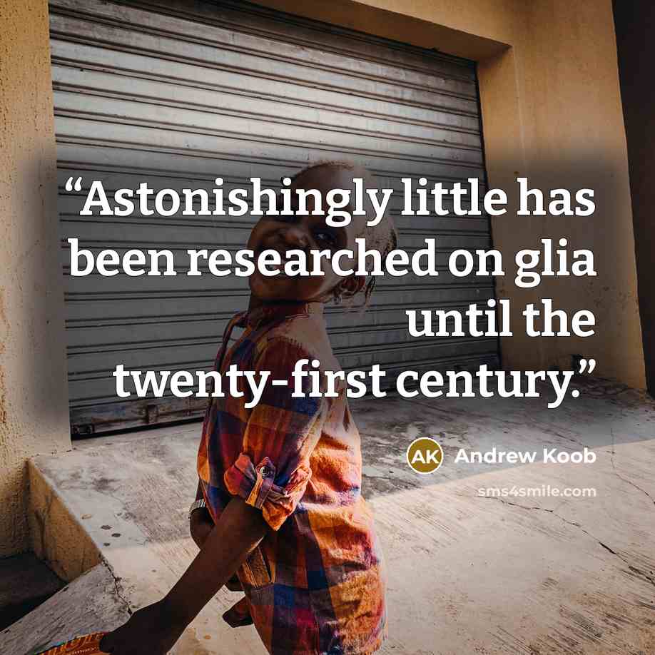 “Astonishingly little has been researched on glia until the twenty-first century.” quote by Andrew Koob