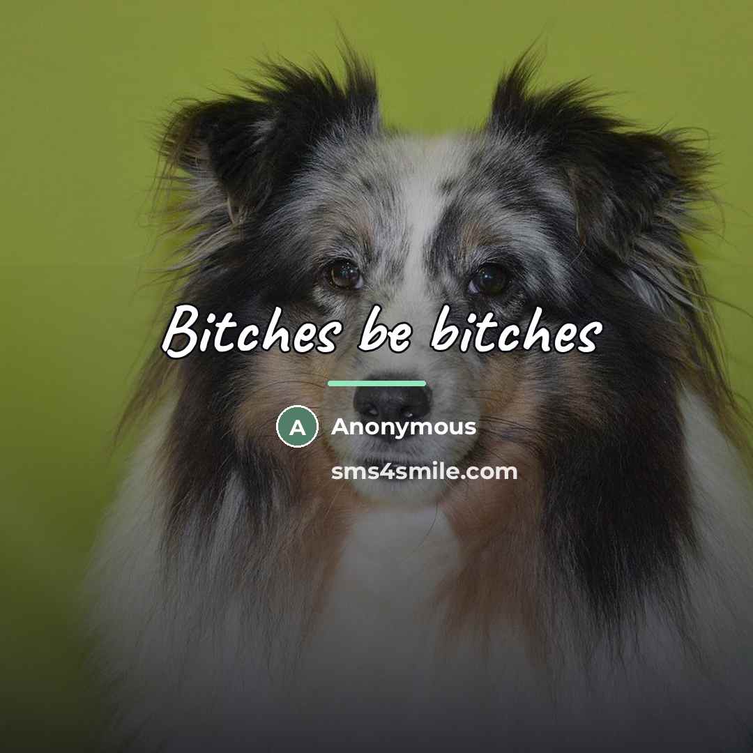 “Bitches be bitches…” quote by Anonymous