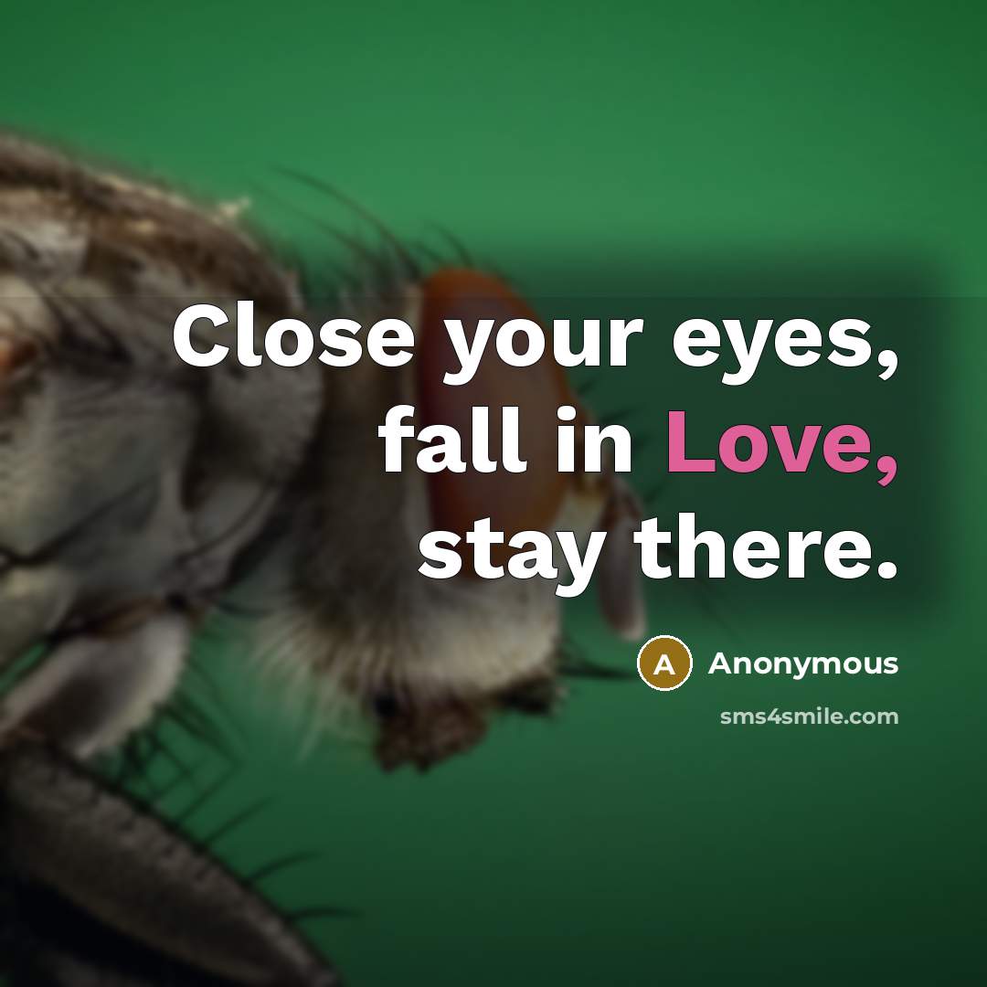 “Close your eyes, fall in Love, stay there.…” quote by Anonymous