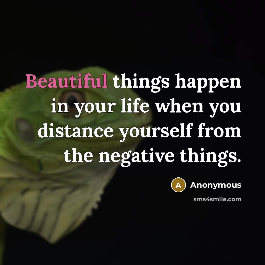 “Beautiful things happen in your life when you distance yourself…” quote by Anonymous