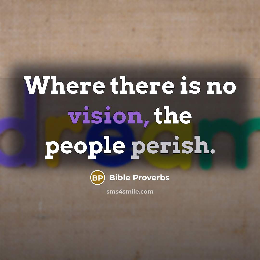 “Where there is no vision, the people perish.” quote by Bible Proverbs