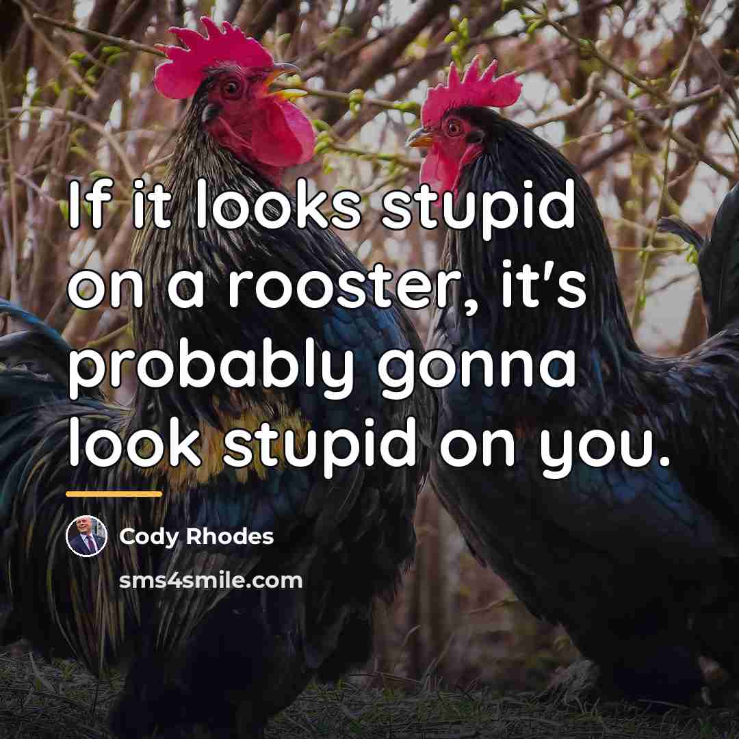 “If it looks stupid on a rooster, it's probably gonna…” quote by Cody Rhodes