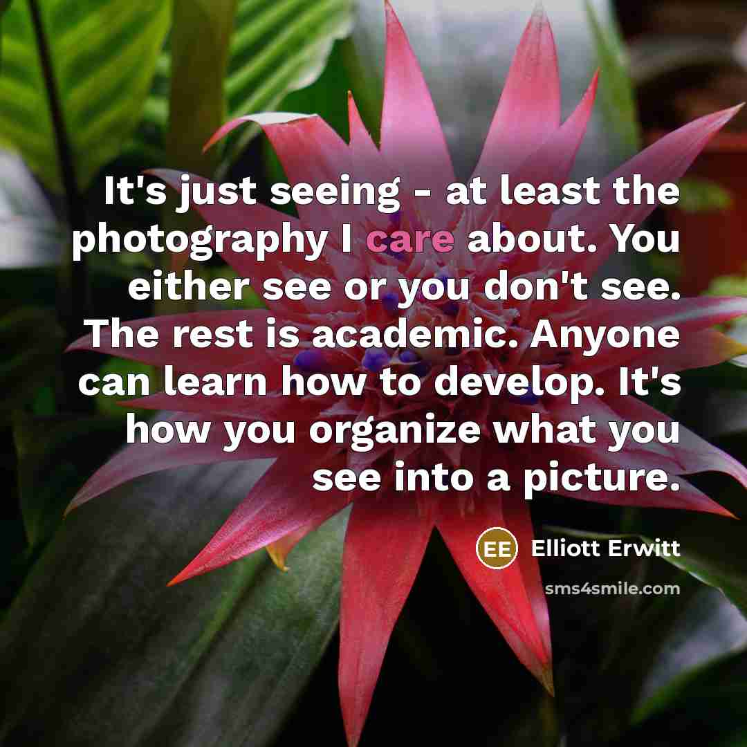 “It's just seeing - at least the photography I care…” quote by Elliott Erwitt