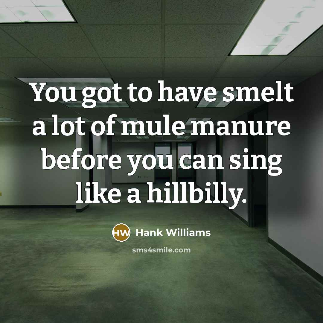 “You got to have smelt a lot of mule manure…” quote by Hank Williams