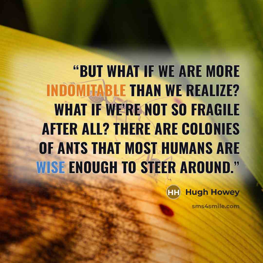 “But what if we are more indomitable than we realize? What if we’re not so fragile after all? There are colonies of ants that most humans are wise enough to steer around.” quote by Hugh Howey