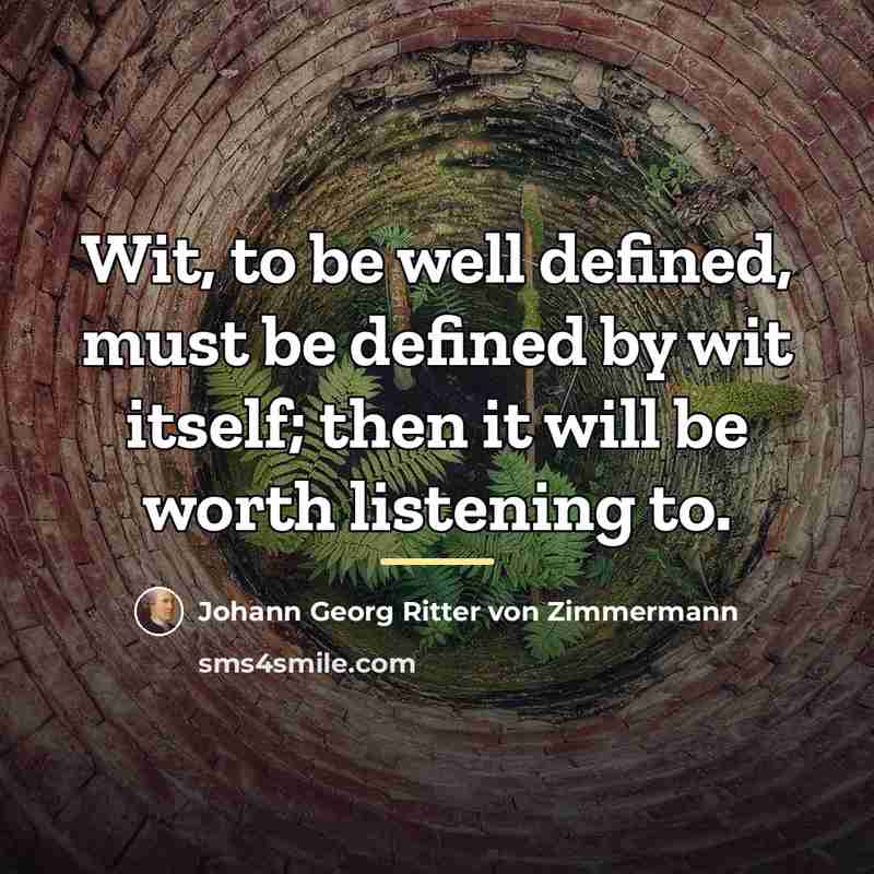 “Wit, to be well defined, must be defined by wit…” quote by Johann Georg Ritter von Zimmermann
