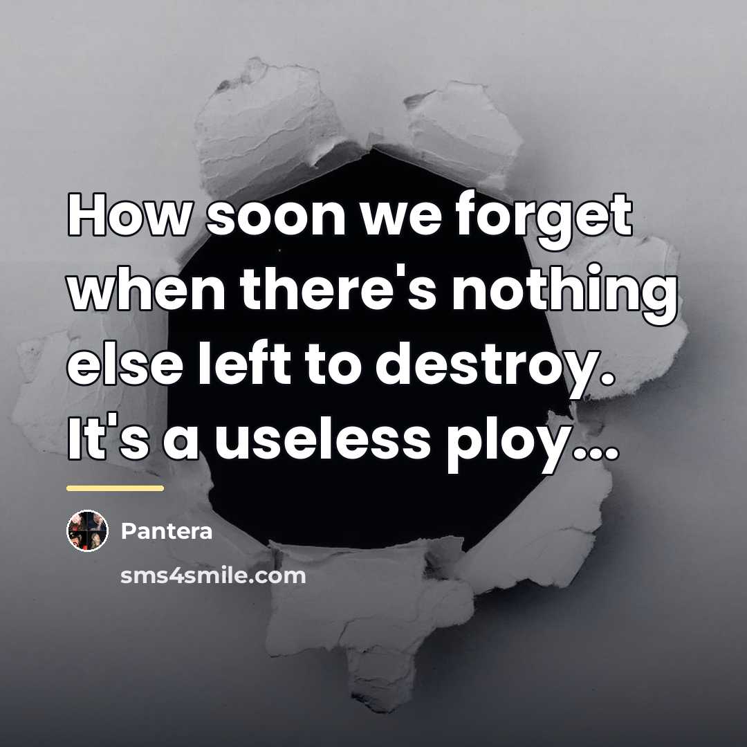 “How soon we forget when there's nothing else left to…” quote by Pantera