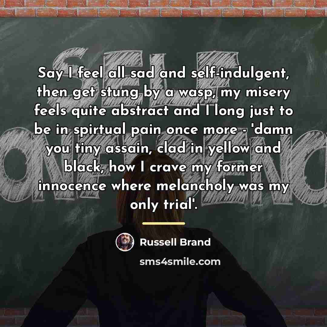 “Say I feel all sad and self-indulgent, then get stung…” quote by Russell Brand