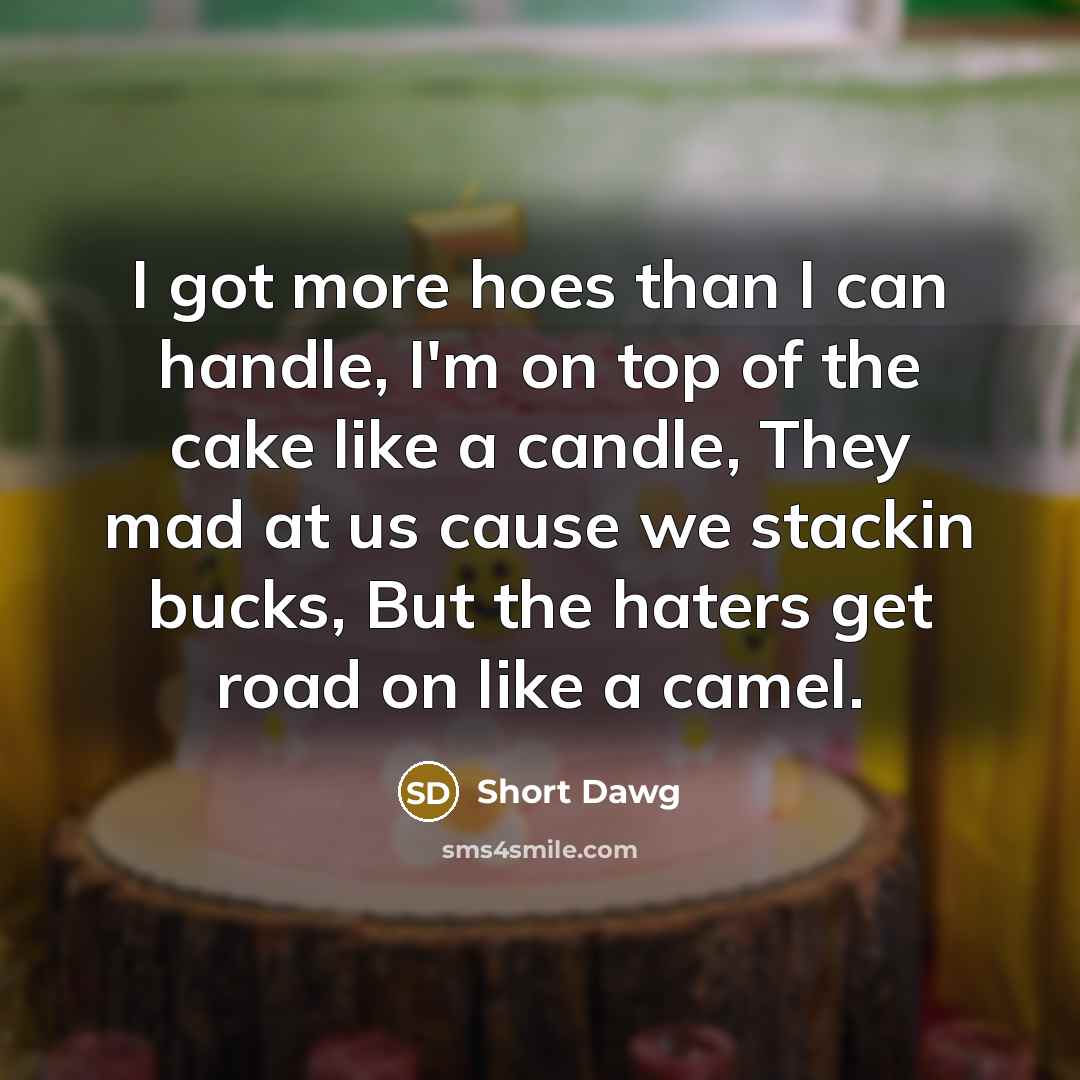 “I got more hoes than I can handle, I'm on…” quote by Short Dawg