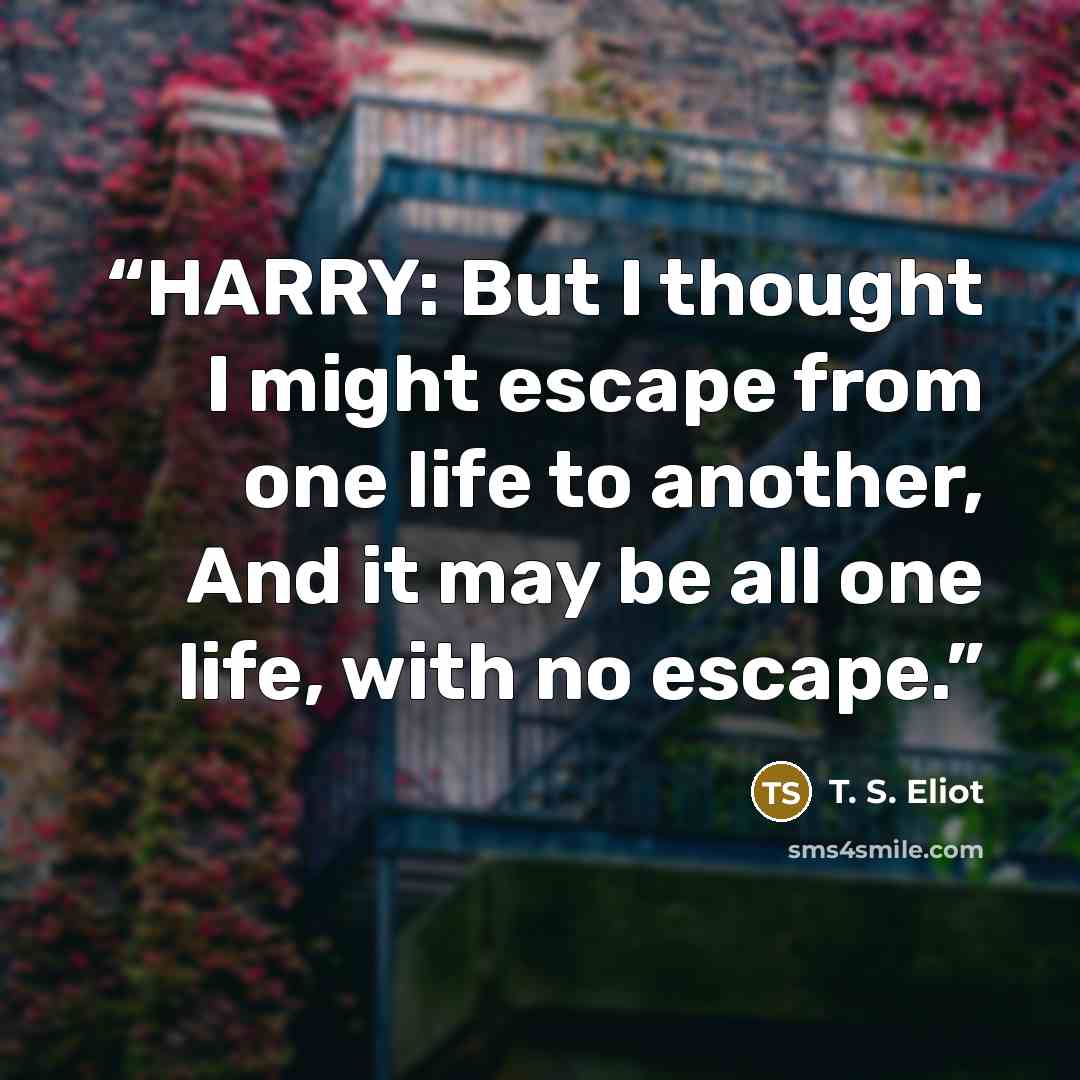 “HARRY: But I thought I might escape from one life to another, And it may be all one life, with no escape.” quote by T. S. Eliot