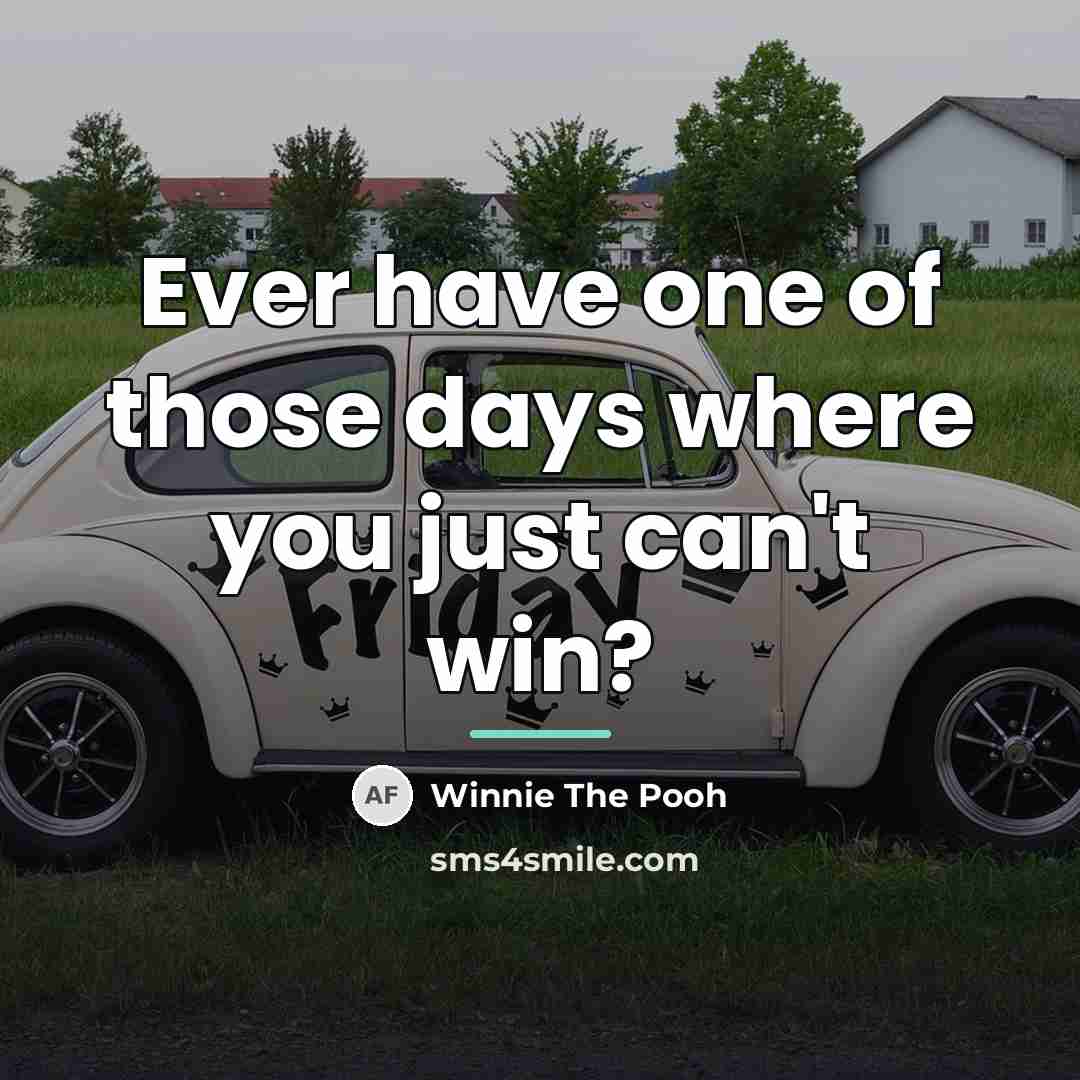 “Ever have one of those days where you just can't…” quote by Winnie The Pooh