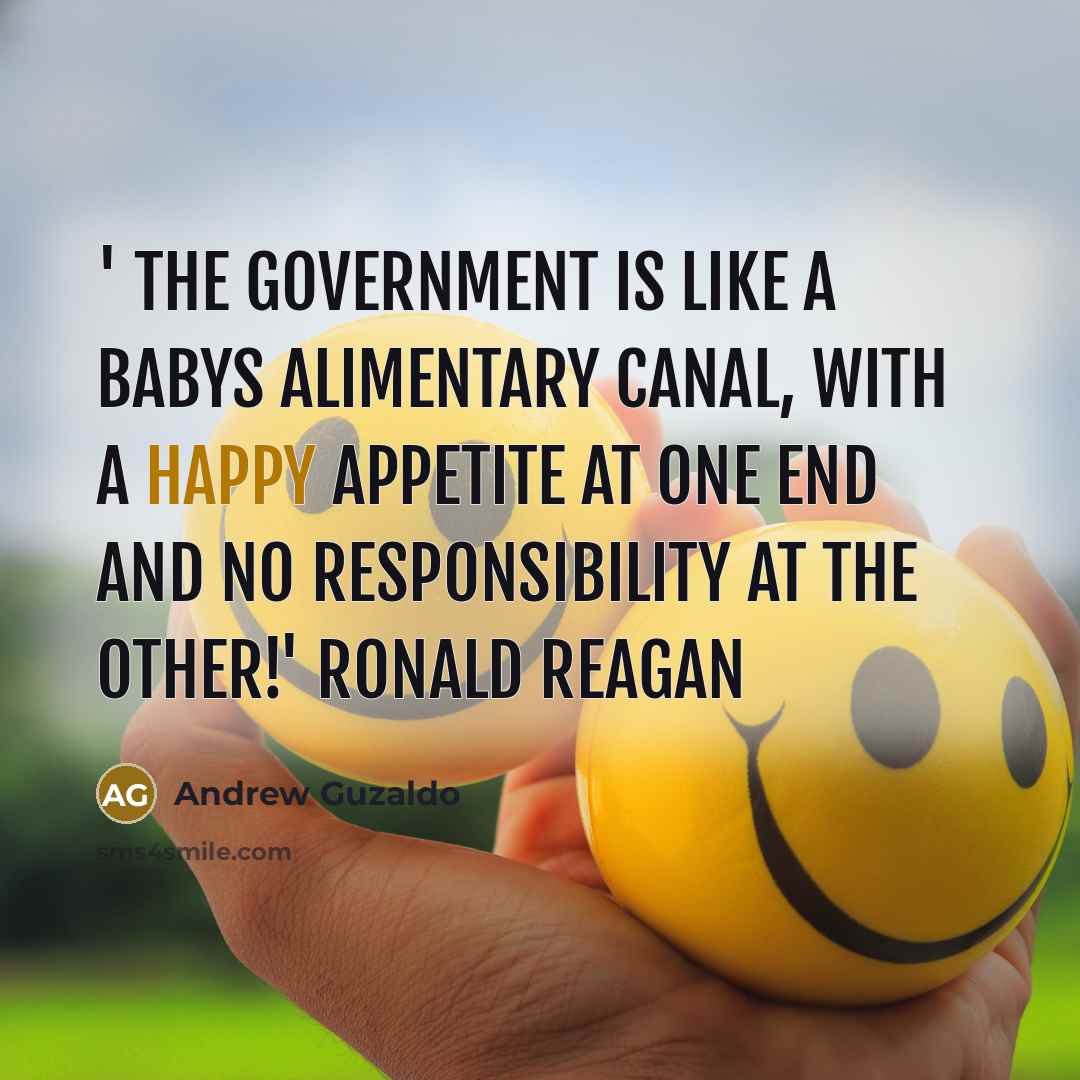 “' The government is like a babys alimentary canal, with…” quote by Andrew Guzaldo