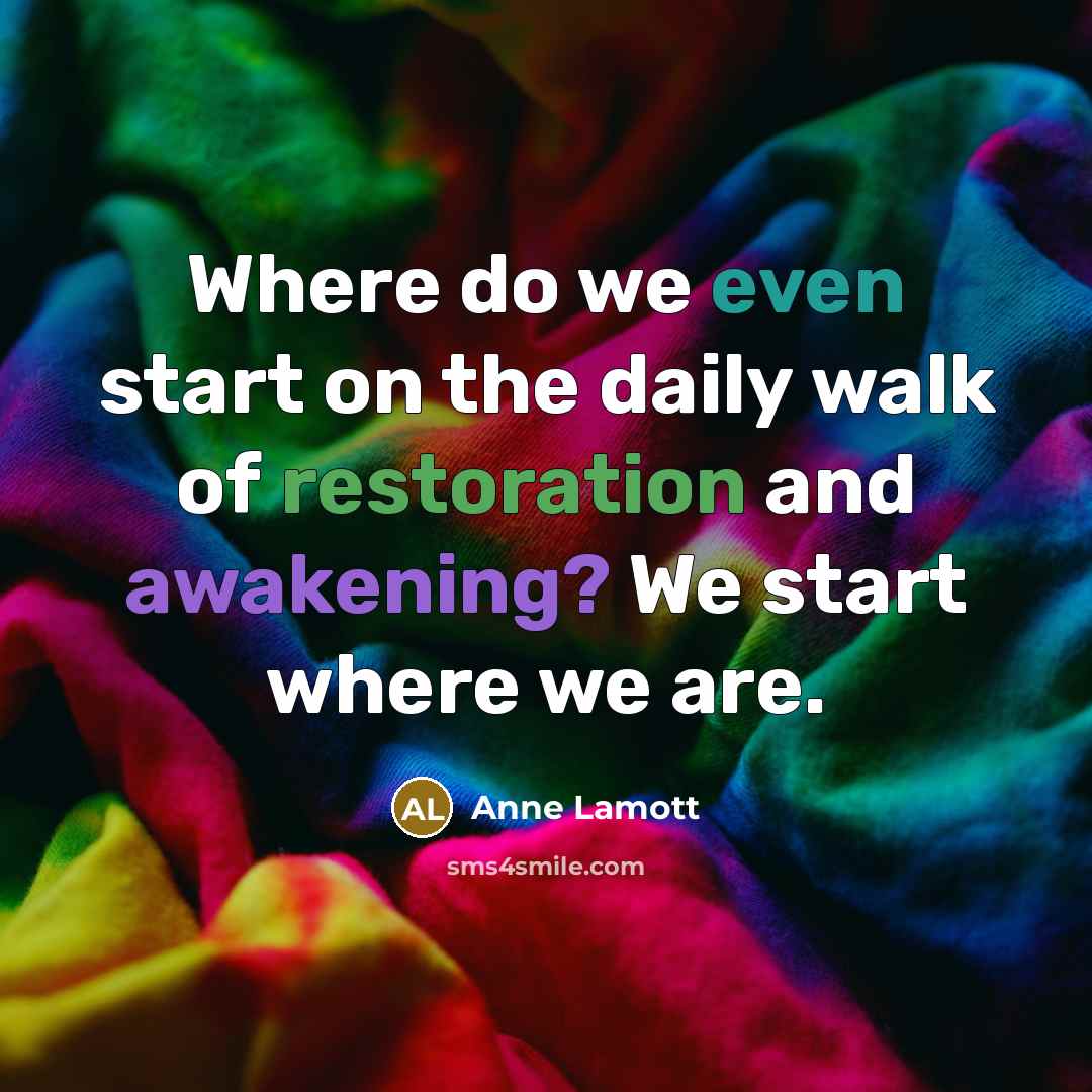 “Where do we even start on the daily walk of…” quote by Anne Lamott