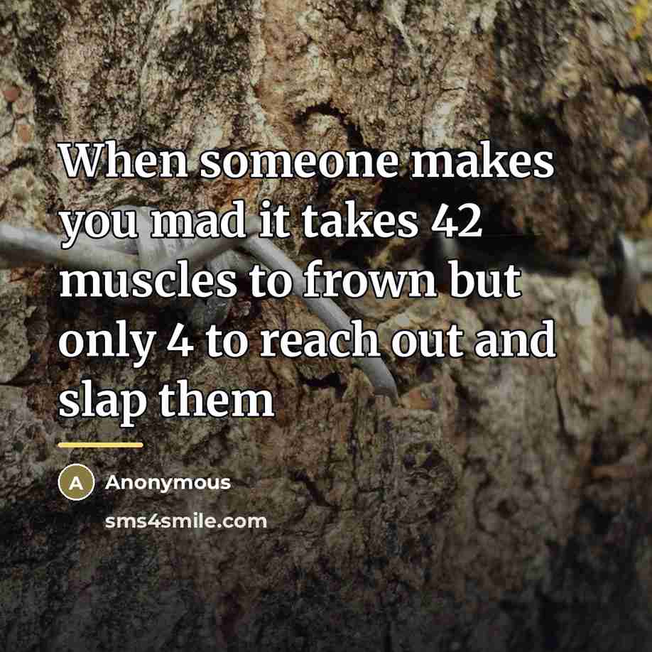 “When someone makes you mad it takes 42 muscles to…” quote by Anonymous