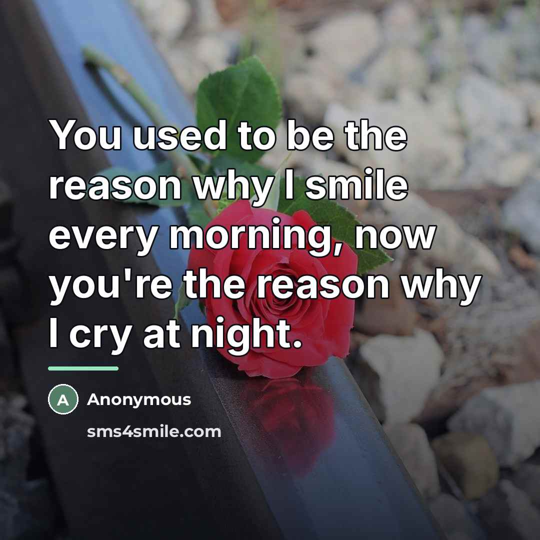 “You used to be the reason why I smile every…” quote by Anonymous