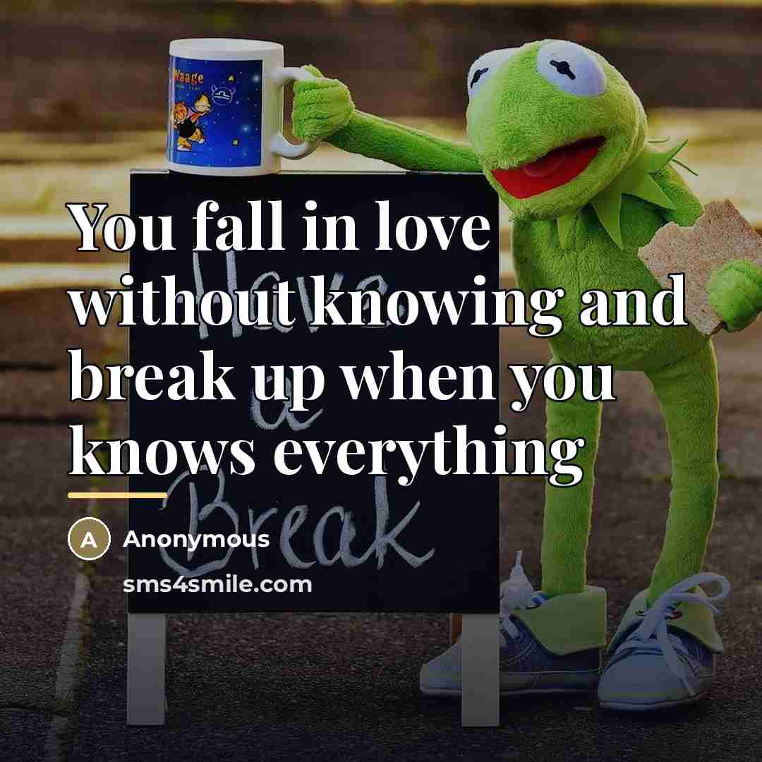 “You fall in love without knowing and break up when…” quote by Anonymous