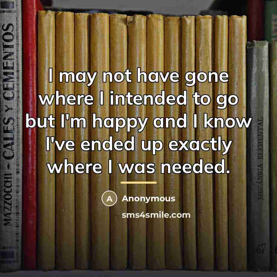“I may not have gone where I intended to go…” quote by Anonymous
