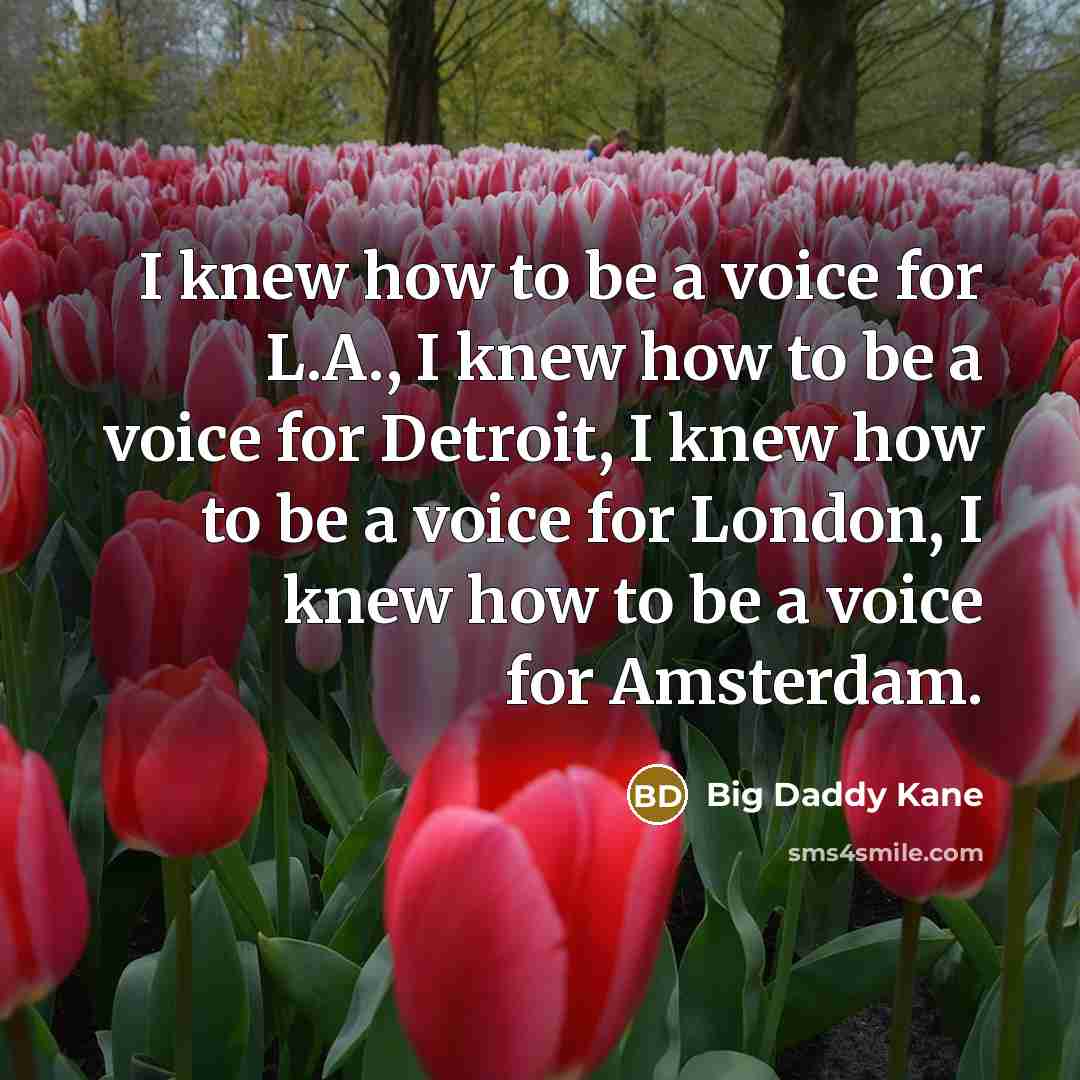 “I knew how to be a voice for L.A., I…” quote by Big Daddy Kane