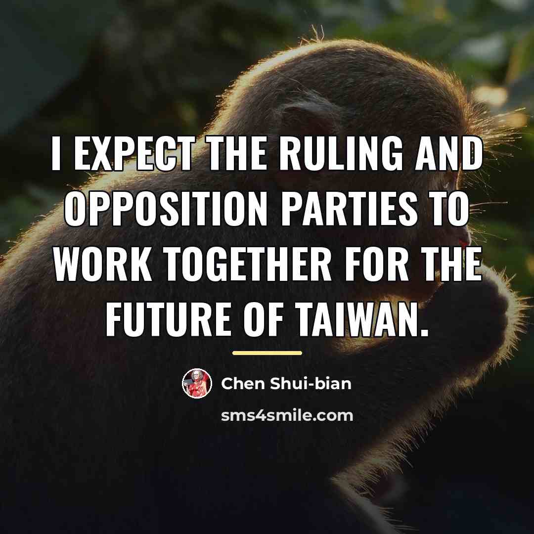 “I expect the ruling and opposition parties to work together…” quote by Chen Shui-bian