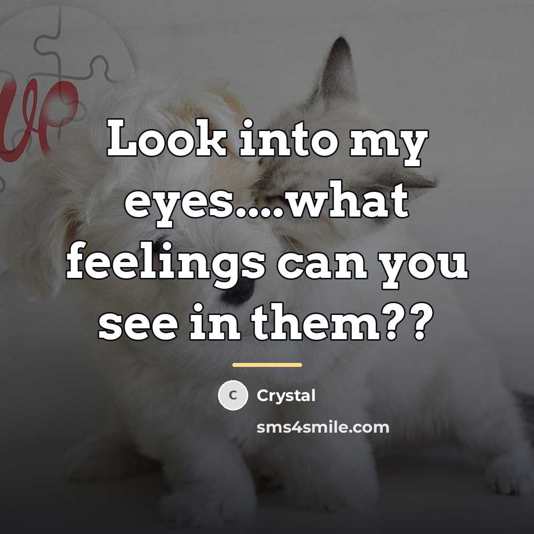 “Look into my eyes....what feelings can you see in them??…” quote by Crystal