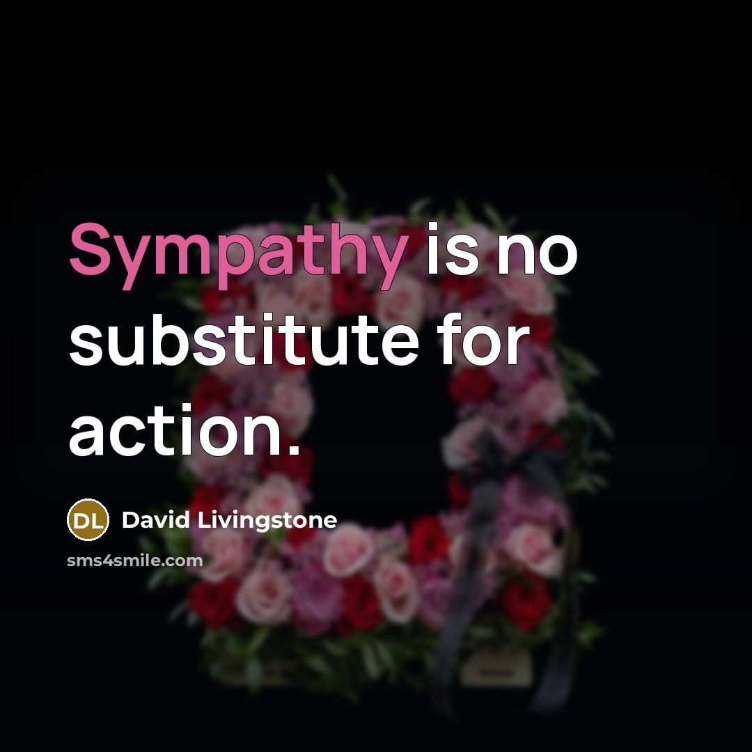 “Sympathy is no substitute for action.…” quote by David Livingstone