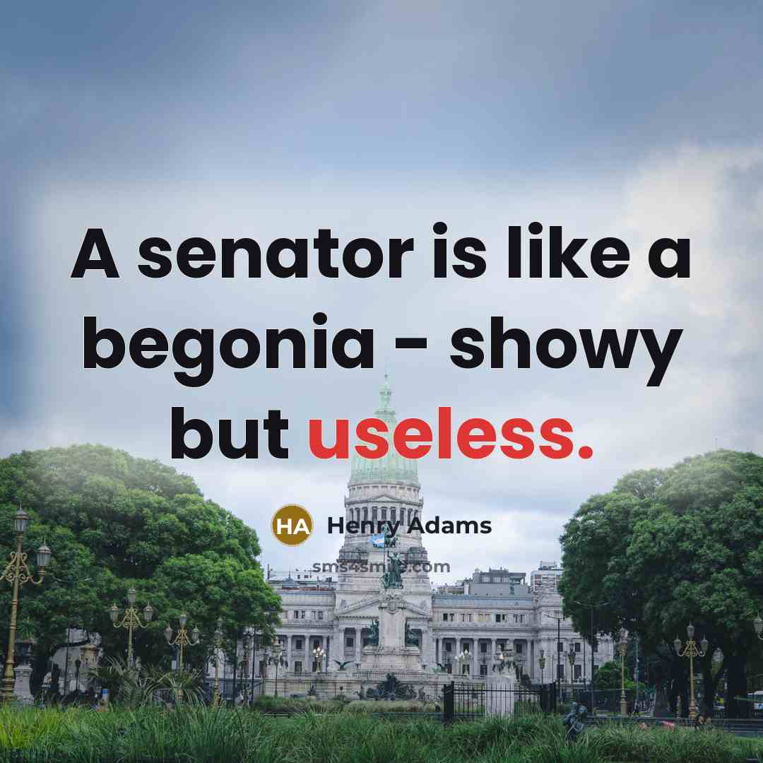 “A senator is like a begonia - showy but useless.…” quote by Henry Adams