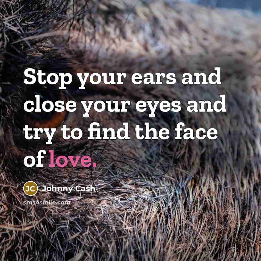 “Stop your ears and close your eyes and try to…” quote by Johnny Cash